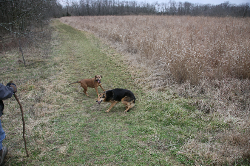 Full Size Image = 6320 K