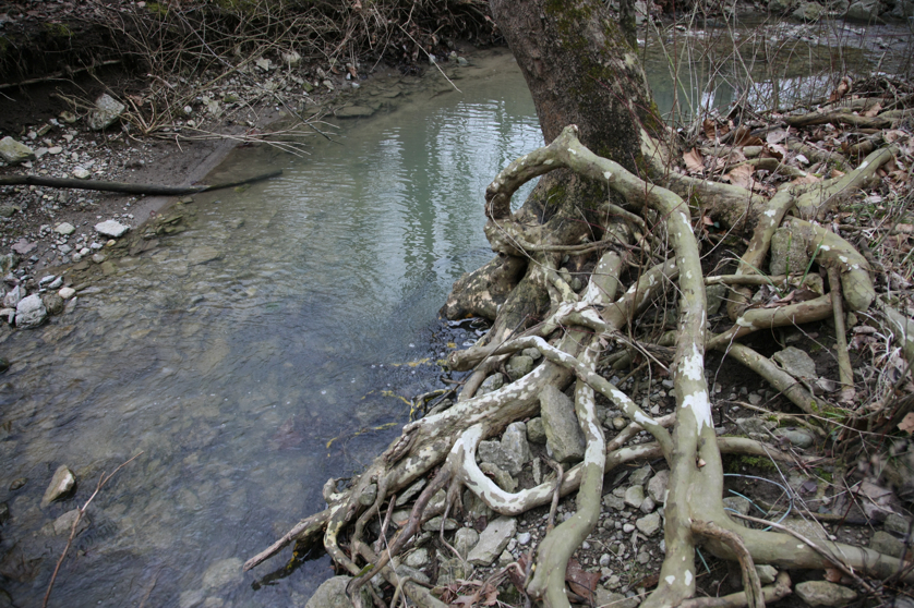 Full Size Image = 5409 K