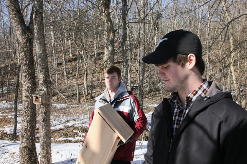 Full Size Image = 6077 K