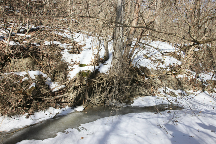 Full Size Image = 6635 K