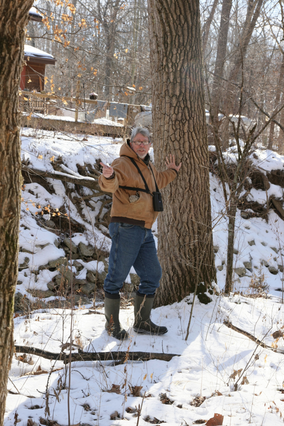 Full Size Image = 4641 K