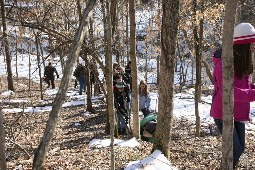 Full Size Image = 6774 K