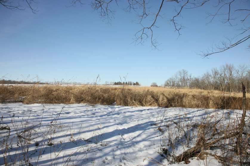 Full Size Image = 4621 K