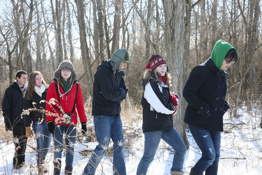 Full Size Image = 4949 K