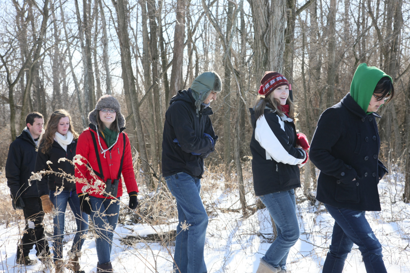 Full Size Image = 4960 K