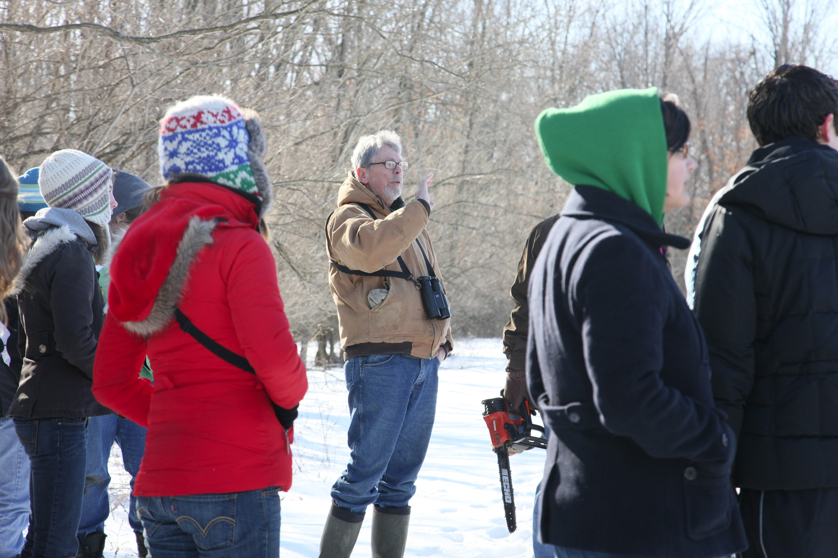 Full Size Image = 3717 K