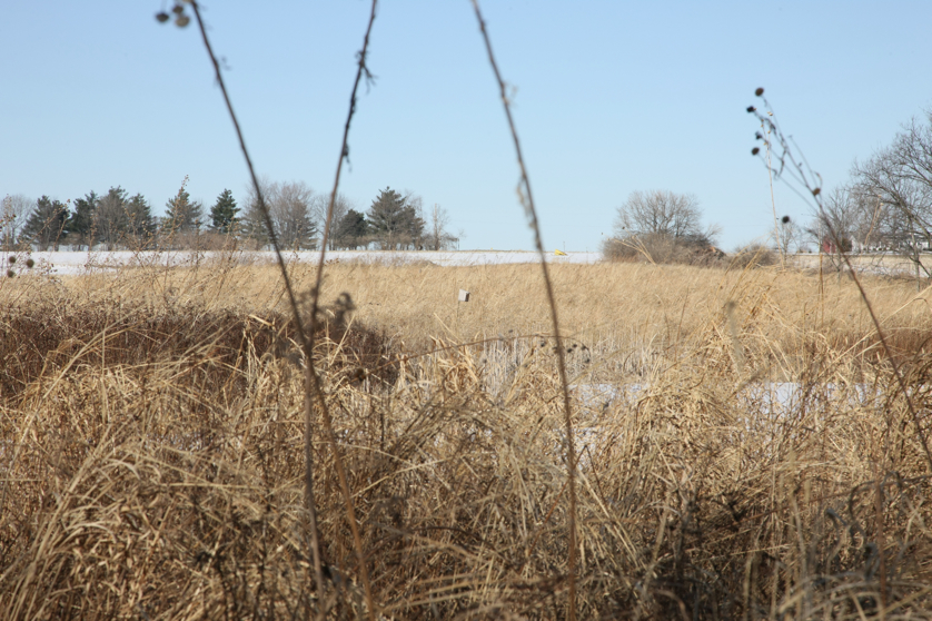 Full Size Image = 4744 K