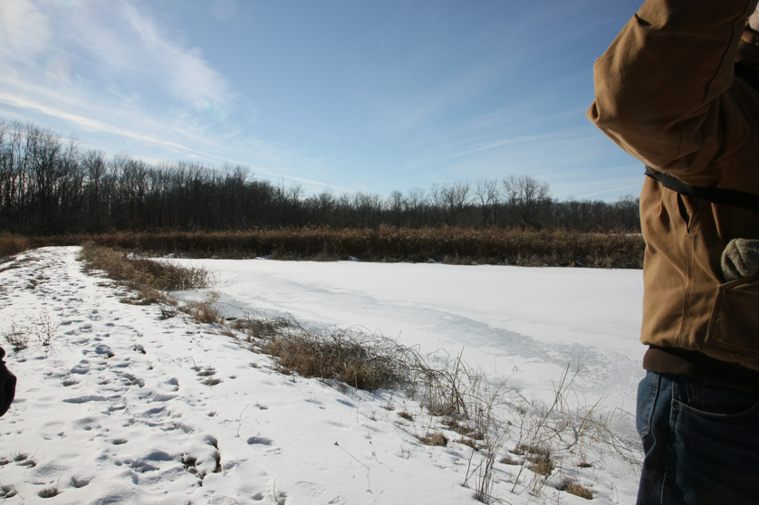 Full Size Image = 4006 K