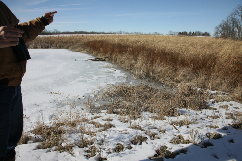 Full Size Image = 5320 K