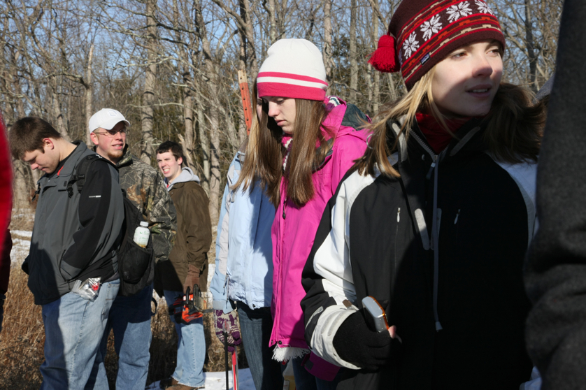 Full Size Image = 3803 K