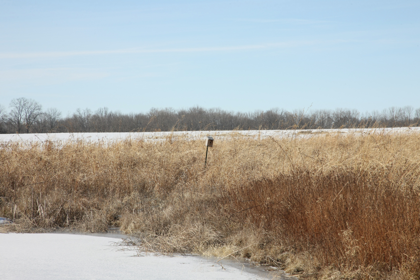 Full Size Image = 5110 K