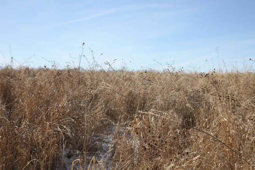 Full Size Image = 5825 K