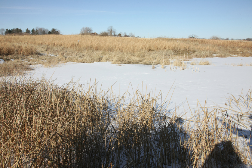 Full Size Image = 5364 K