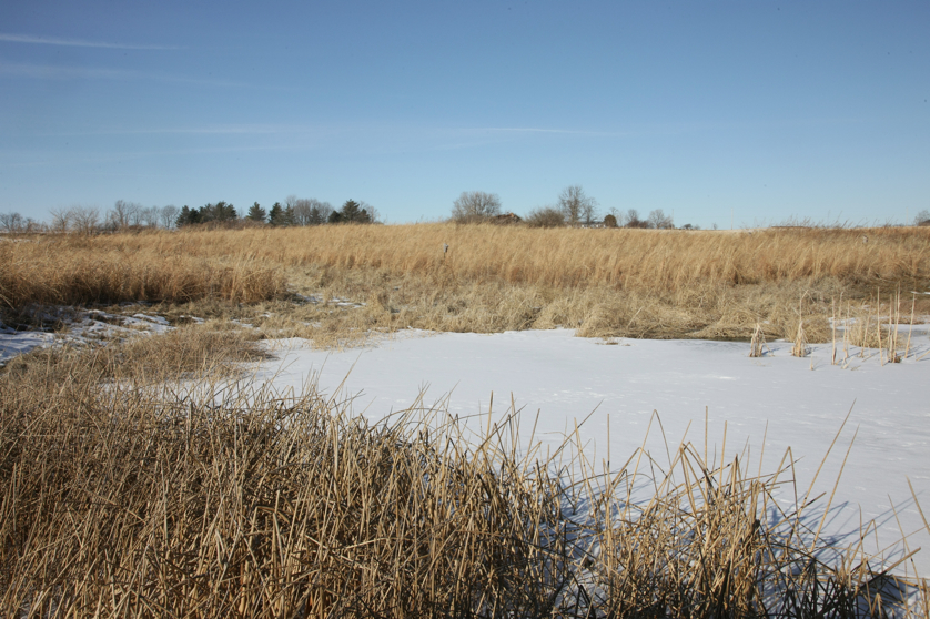 Full Size Image = 5010 K