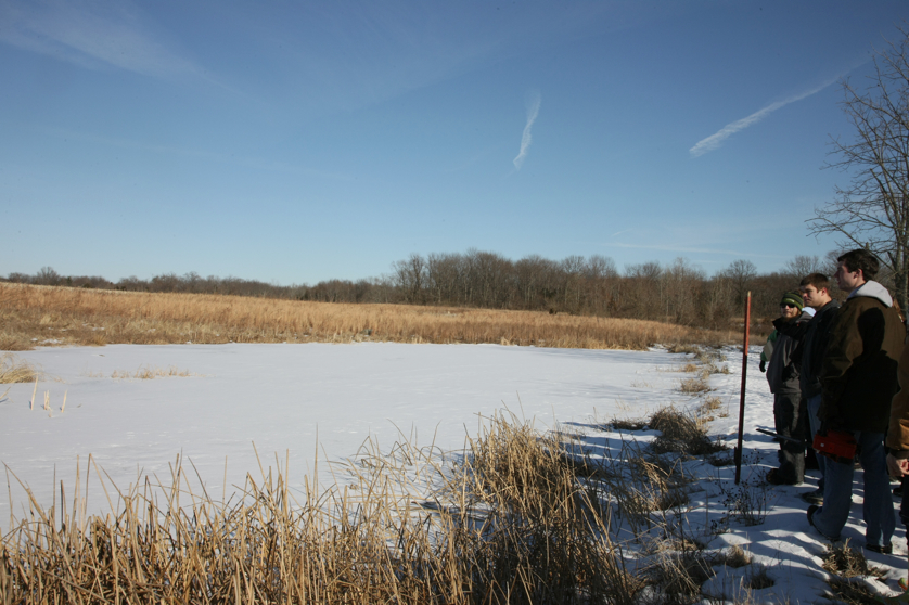 Full Size Image = 4003 K