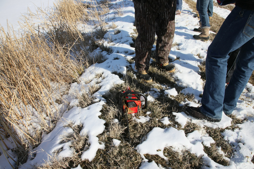 Full Size Image = 6338 K