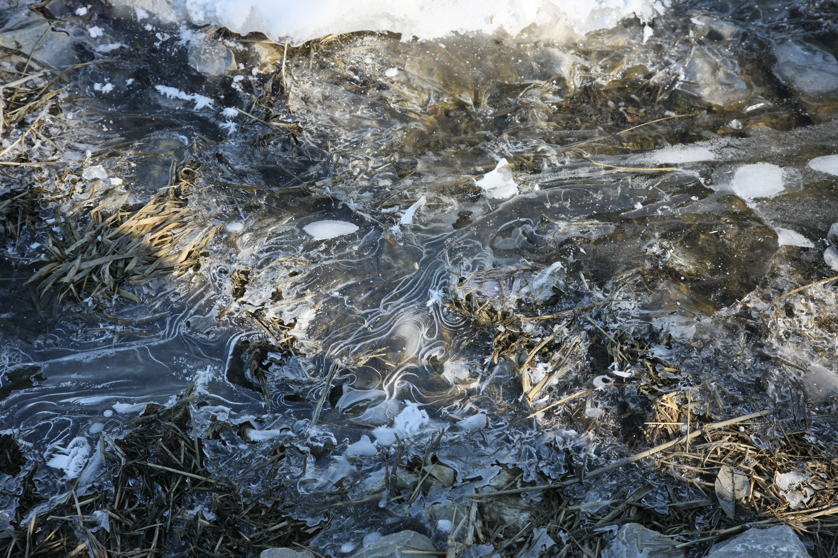 Full Size Image = 5884 K