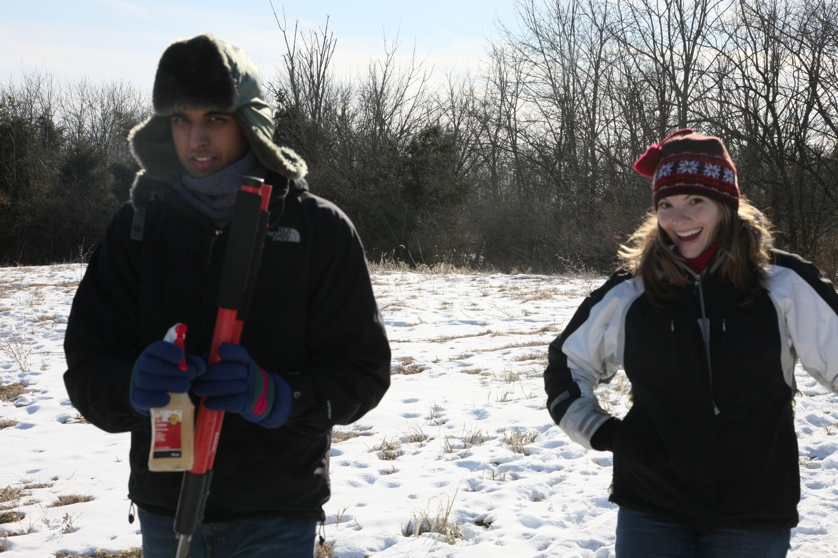 Full Size Image = 4435 K