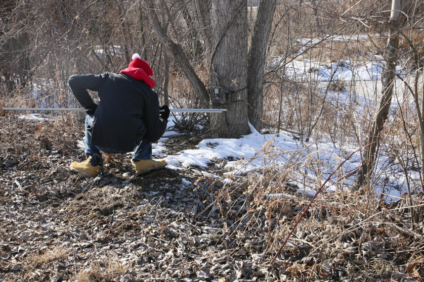 Full Size Image = 7322 K