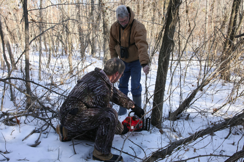 Full Size Image = 4992 K