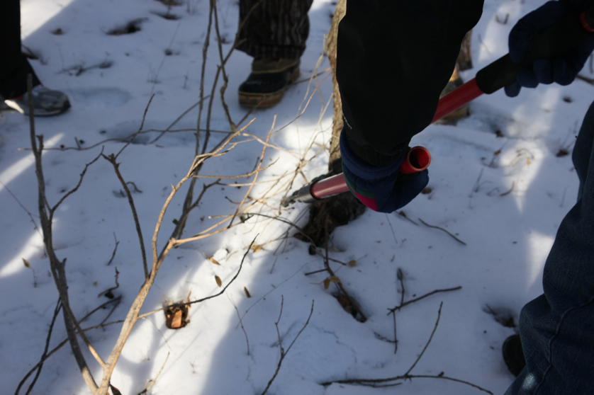 Full Size Image = 2826 K