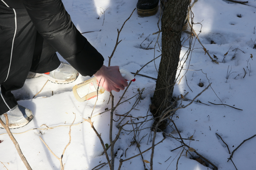 Full Size Image = 3476 K