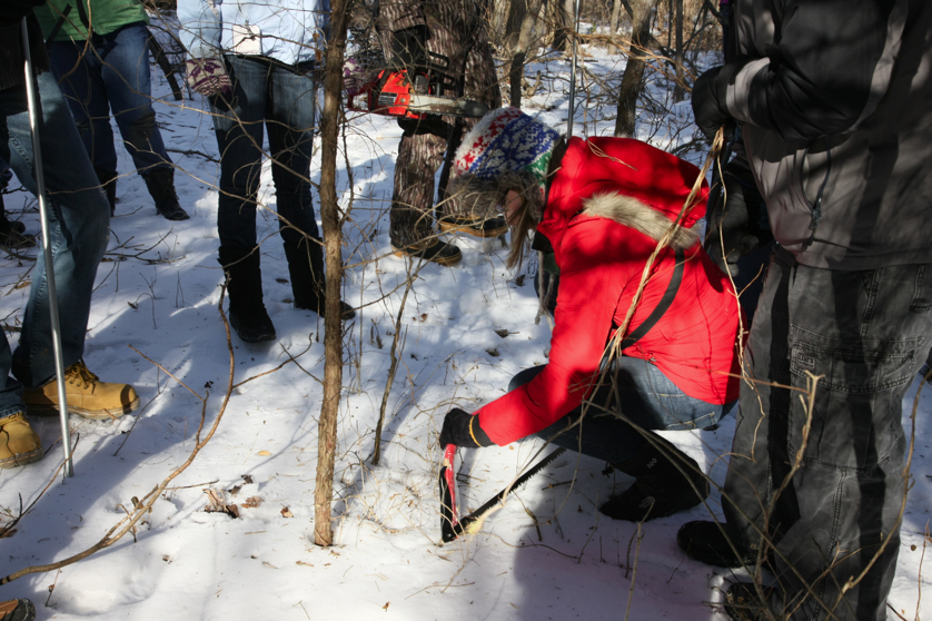 Full Size Image = 4154 K