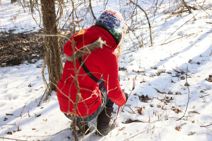 Full Size Image = 4206 K