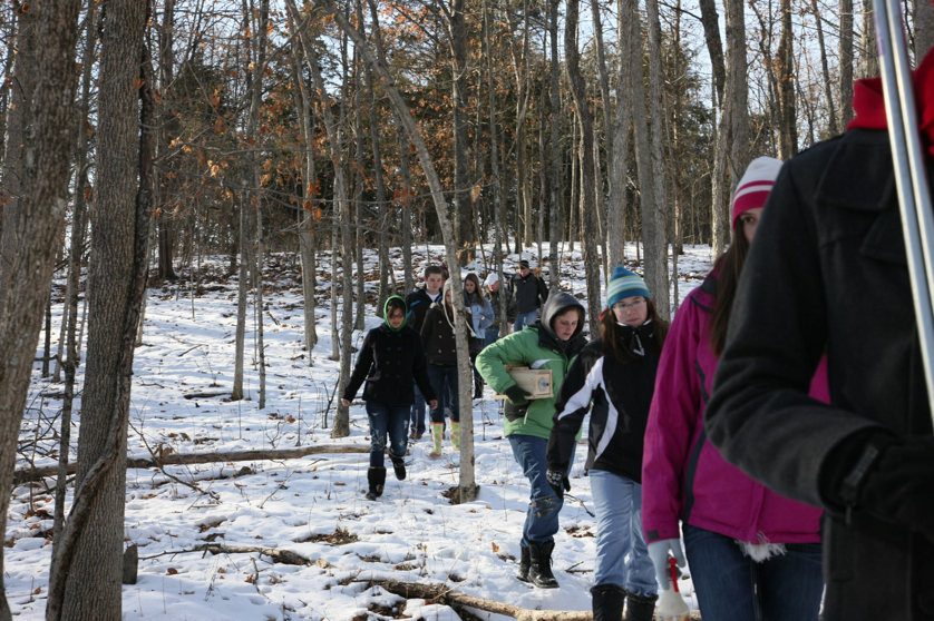 Full Size Image = 4966 K