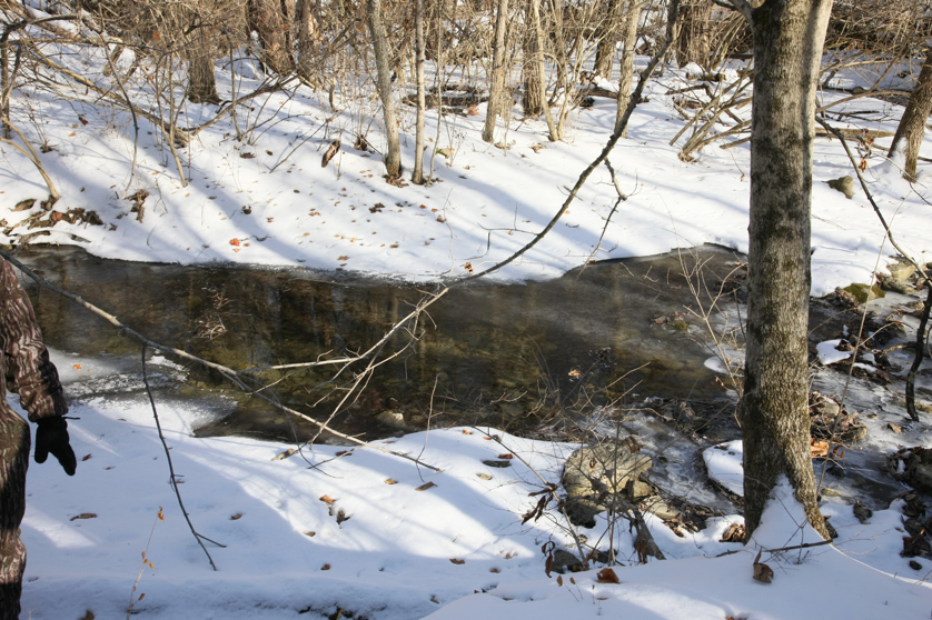 Full Size Image = 5237 K