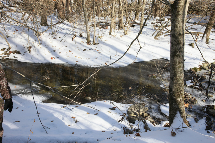 Full Size Image = 5346 K