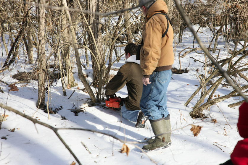 Full Size Image = 5225 K