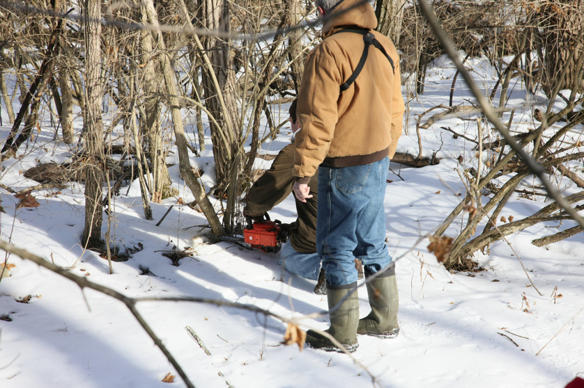 Full Size Image = 5094 K