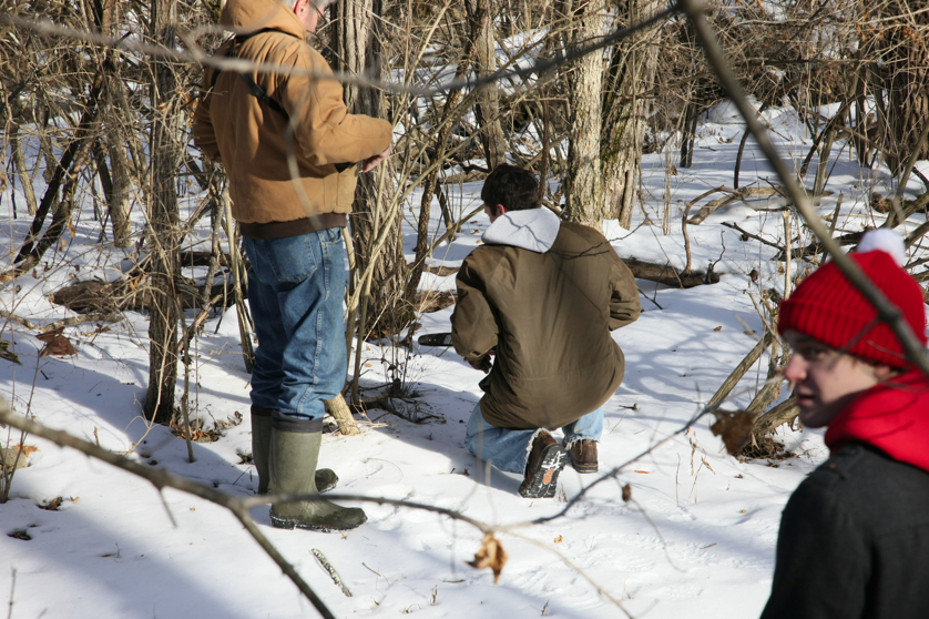 Full Size Image = 4943 K