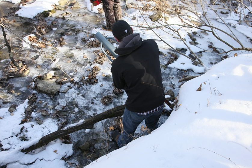 Full Size Image = 4456 K