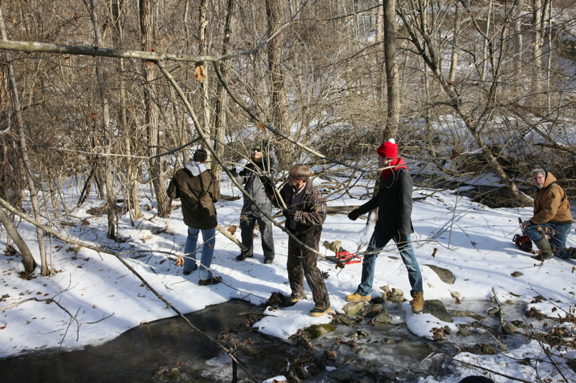 Full Size Image = 6448 K