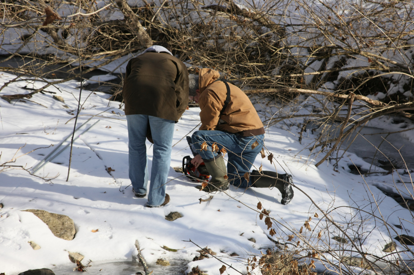 Full Size Image = 4365 K