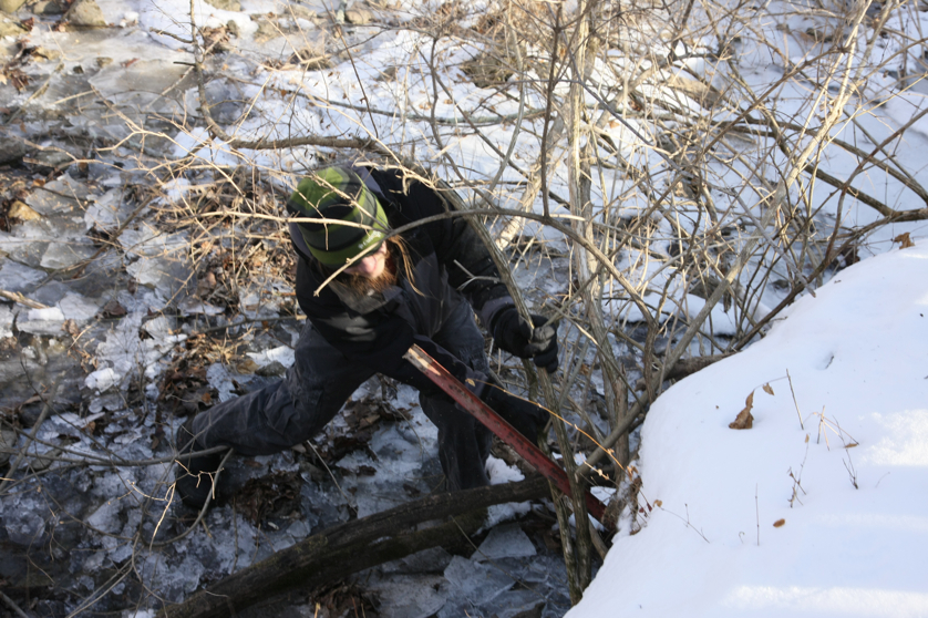 Full Size Image = 4315 K