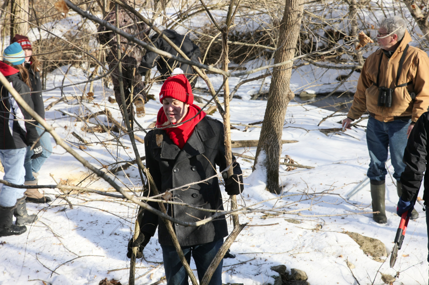 Full Size Image = 4585 K