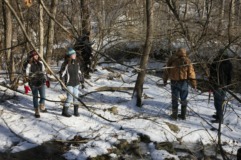 Full Size Image = 6111 K