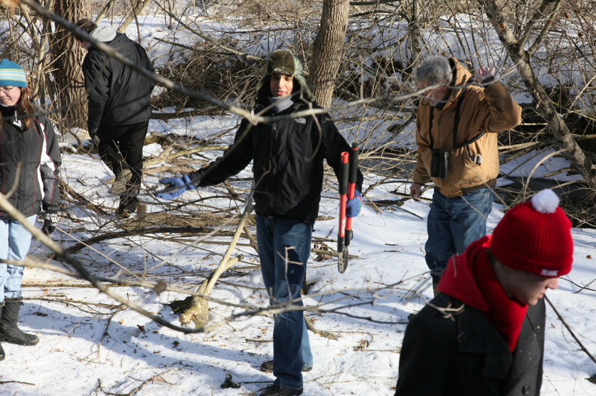 Full Size Image = 5137 K