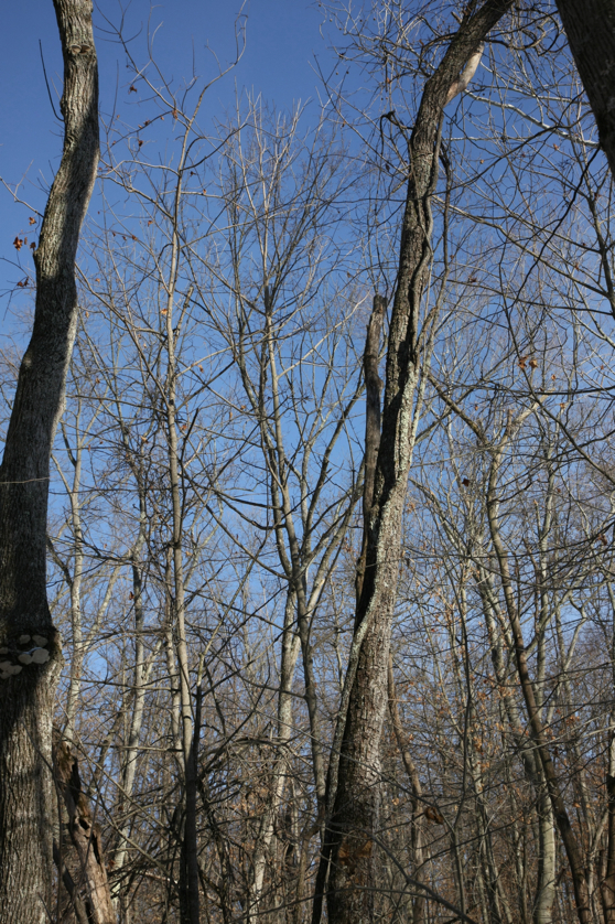 Full Size Image = 6564 K