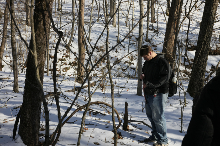 Full Size Image = 5047 K