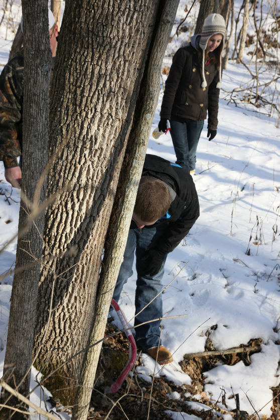 Full Size Image = 4354 K