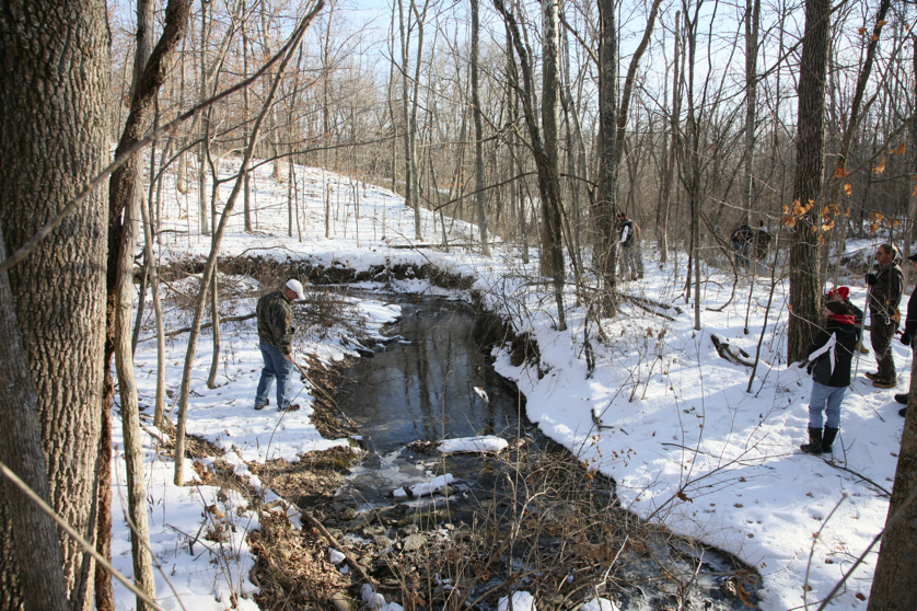 Full Size Image = 7087 K