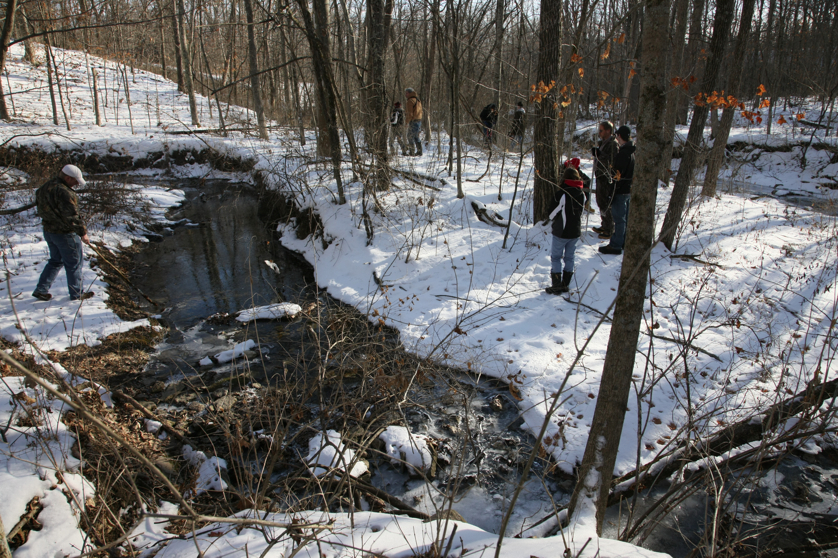 Full Size Image = 6311 K