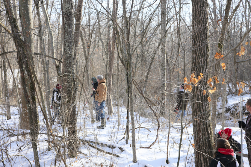 Full Size Image = 5919 K