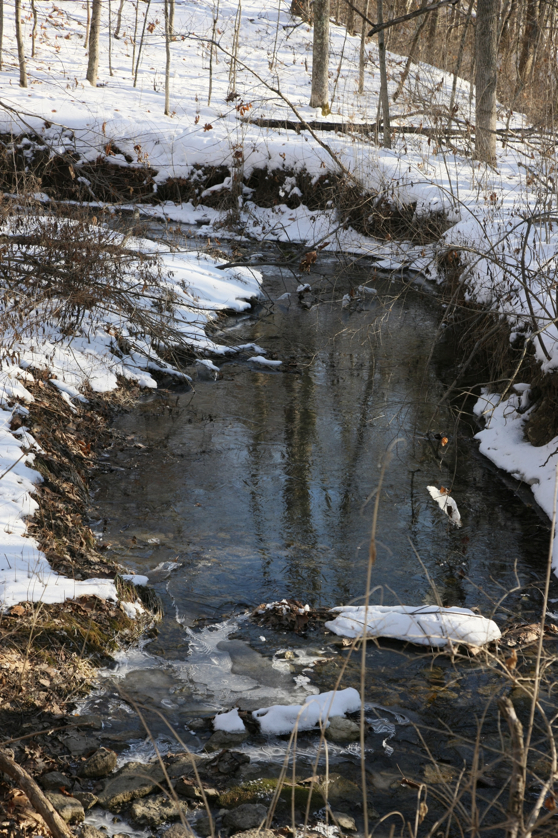 Full Size Image = 5479 K