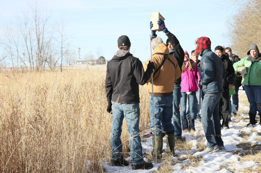 Full Size Image = 5060 K