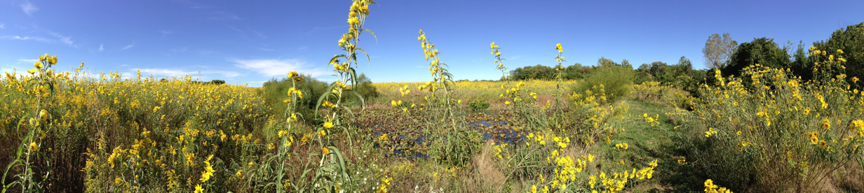 Full Size Image = 5119 K